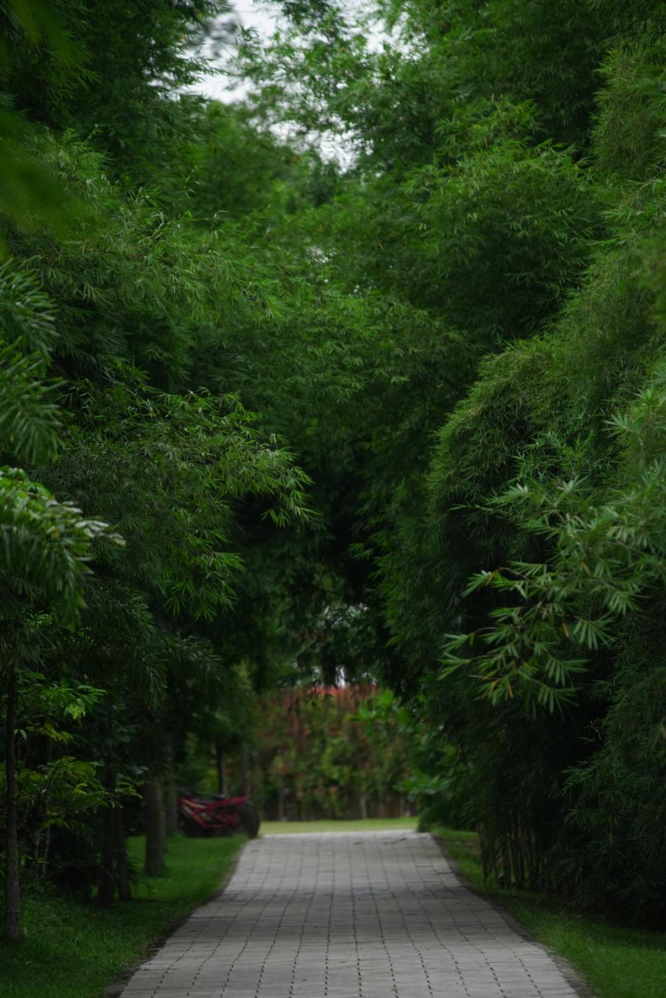 Coffee Greens Resort Wayanad Bagian luar foto