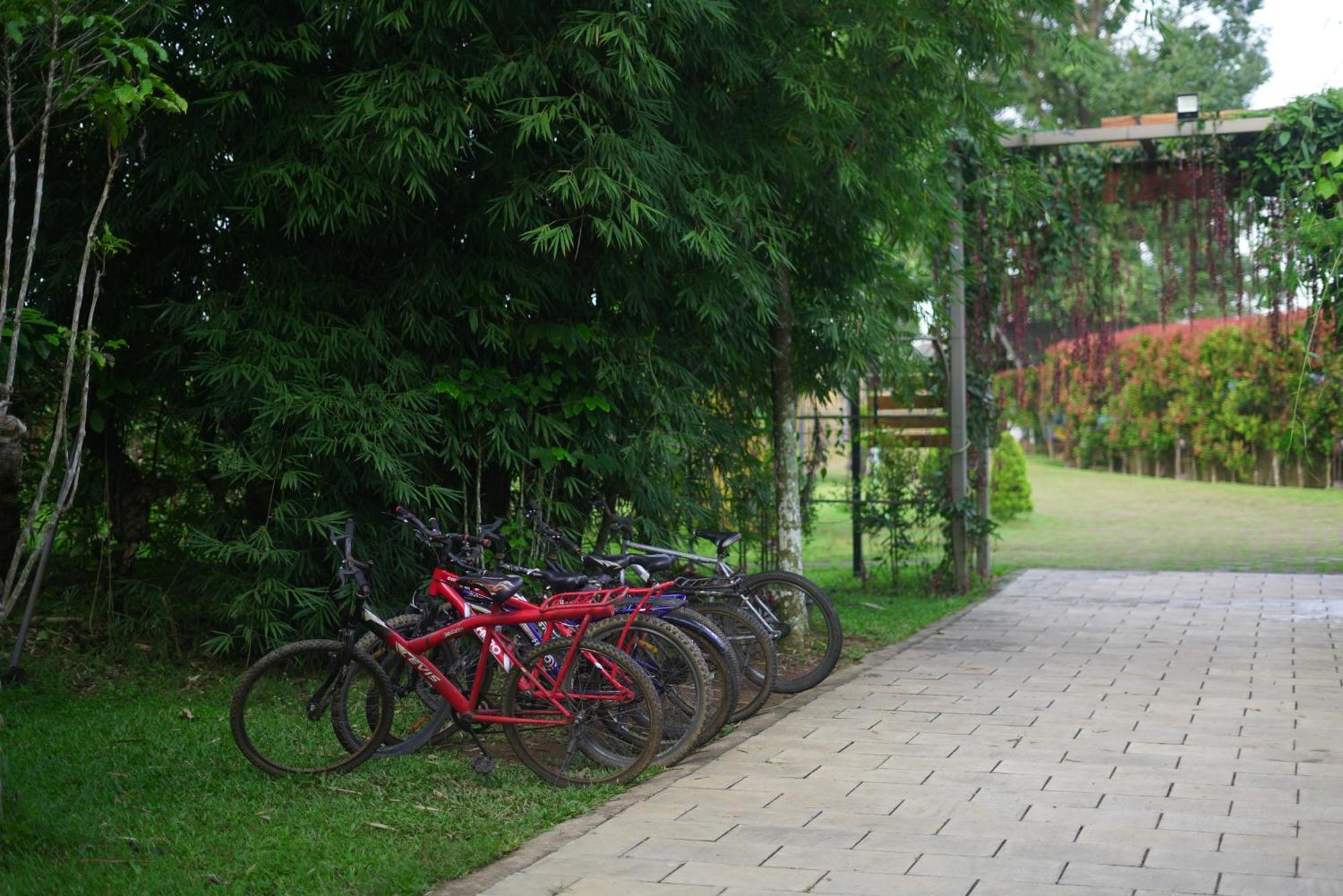 Coffee Greens Resort Wayanad Bagian luar foto