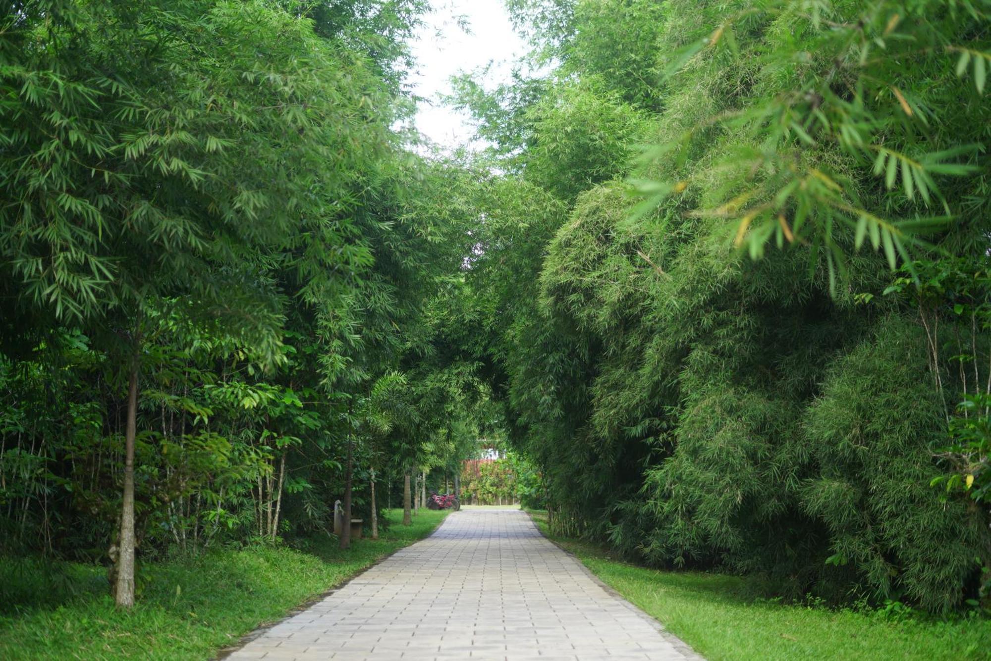 Coffee Greens Resort Wayanad Bagian luar foto